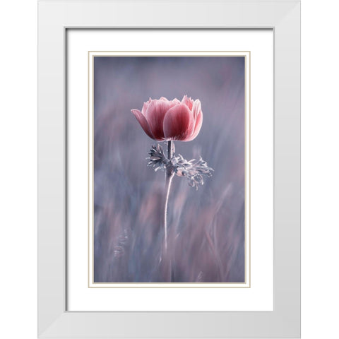 Pink ! So What ? White Modern Wood Framed Art Print with Double Matting by Bravin, Fabien