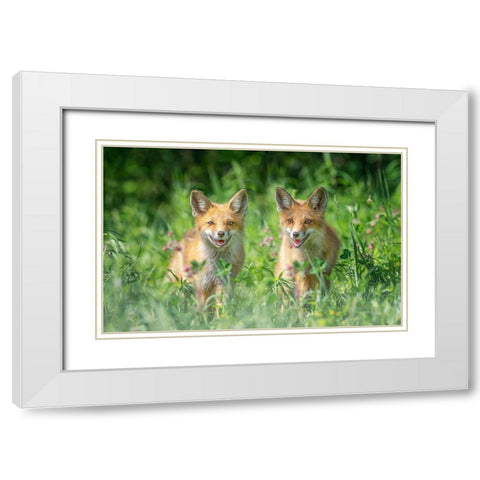 Brothers White Modern Wood Framed Art Print with Double Matting by Deng, Larry