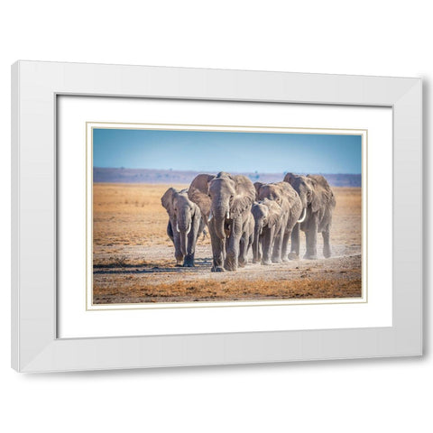 The Titans White Modern Wood Framed Art Print with Double Matting by C. Sink, Jeffrey