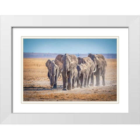 The Titans White Modern Wood Framed Art Print with Double Matting by C. Sink, Jeffrey