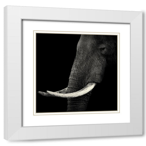 Elephant Profile White Modern Wood Framed Art Print with Double Matting by Bertsch, Hannes