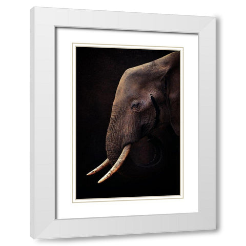 Untitled White Modern Wood Framed Art Print with Double Matting by Grambone, Antonio