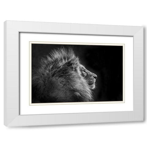 Simba In Monochrome White Modern Wood Framed Art Print with Double Matting by C. Sink, Jeffrey