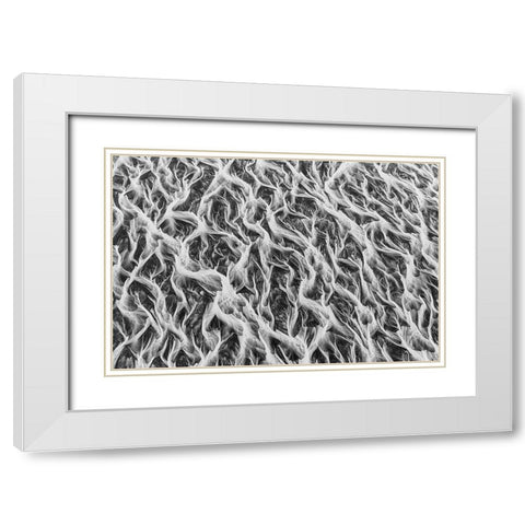 Wide River Shapes White Modern Wood Framed Art Print with Double Matting by Svoboda MQEP, Peter