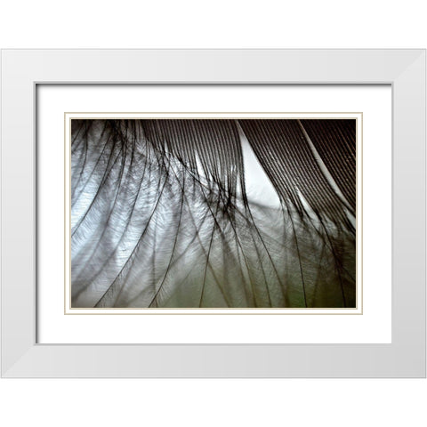 When Dreams Meet Reality White Modern Wood Framed Art Print with Double Matting by Melnotte, Mike