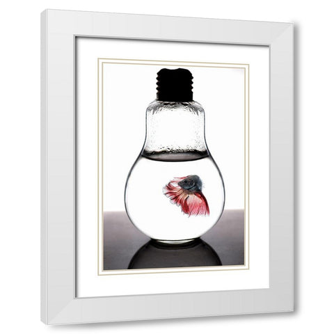 Betta Fish Red White Modern Wood Framed Art Print with Double Matting by Nasution, Girdan