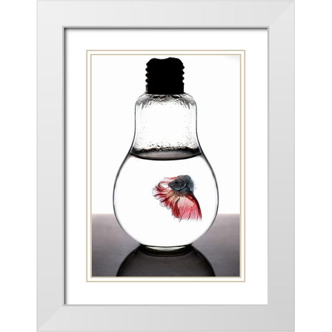 Betta Fish Red White Modern Wood Framed Art Print with Double Matting by Nasution, Girdan