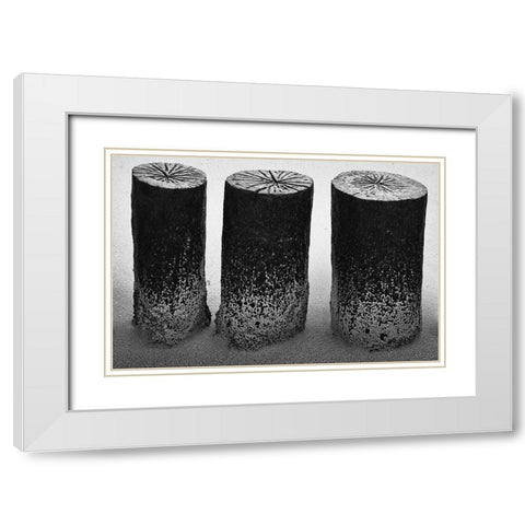 Wooden Wave Breaker White Modern Wood Framed Art Print with Double Matting by Ebert, Steffen