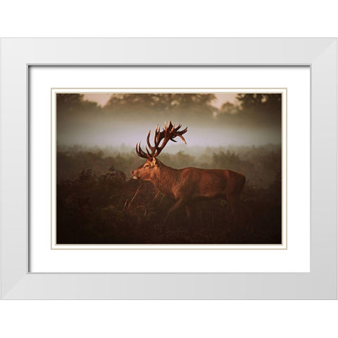 Lvg White Modern Wood Framed Art Print with Double Matting by Fabrowski, Robert