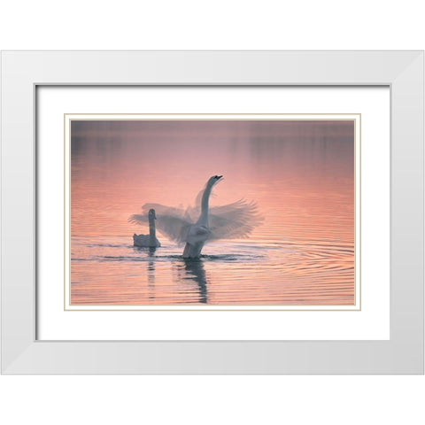 Dancing For You White Modern Wood Framed Art Print with Double Matting by Ning, Aidong
