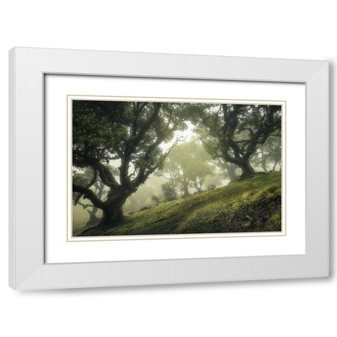 Enchanted Forest White Modern Wood Framed Art Print with Double Matting by Van Der, Frans