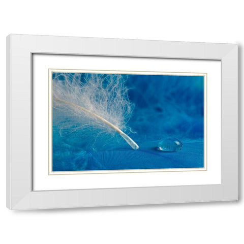 Drop White Modern Wood Framed Art Print with Double Matting by Pavlasek, Tom
