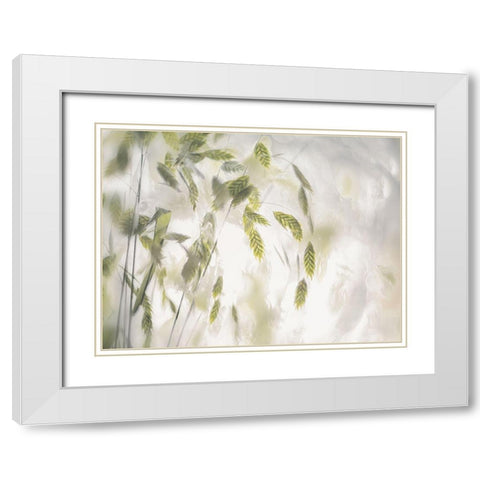 Grass Blades White Modern Wood Framed Art Print with Double Matting by Talen, Nel