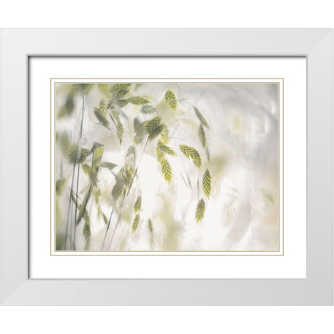 Grass Blades White Modern Wood Framed Art Print with Double Matting by Talen, Nel