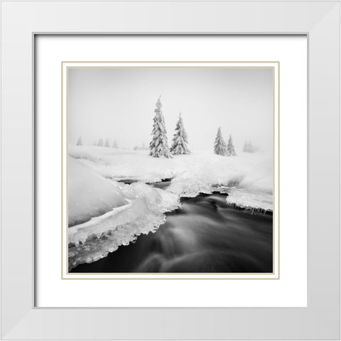 Ice Creek... White Modern Wood Framed Art Print with Double Matting by Rericha, Daniel