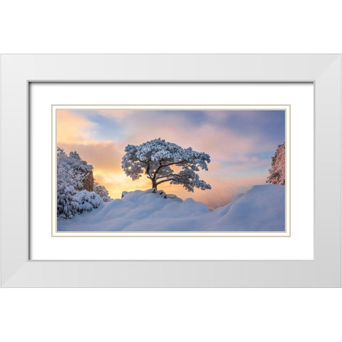 Cold Loner White Modern Wood Framed Art Print with Double Matting by Ryu, Jaeyoun