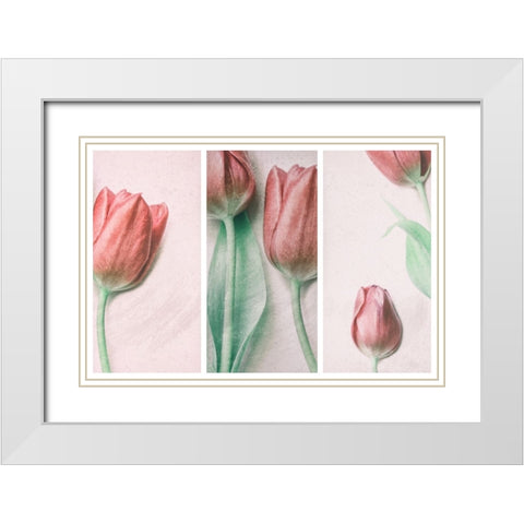 Red Elegance White Modern Wood Framed Art Print with Double Matting by Devos, Delphine