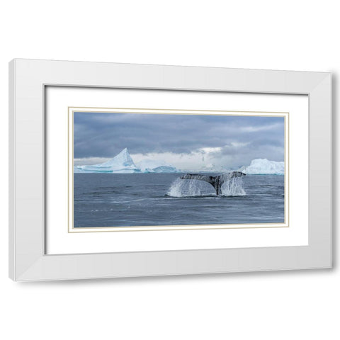 Solo Dance White Modern Wood Framed Art Print with Double Matting by Liu, Richard