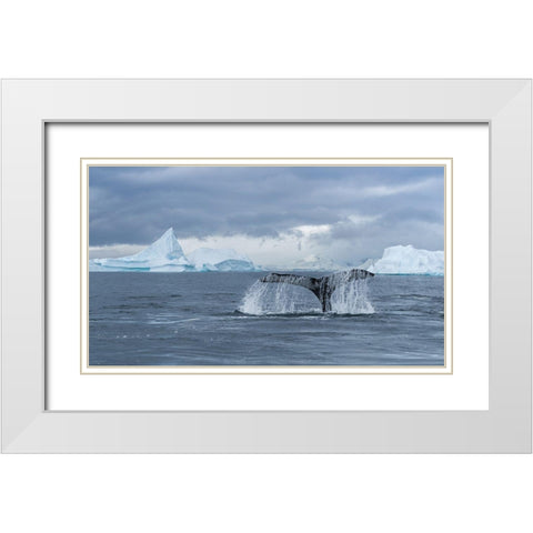 Solo Dance White Modern Wood Framed Art Print with Double Matting by Liu, Richard