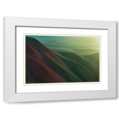 Natural Grassland White Modern Wood Framed Art Print with Double Matting by Simoon