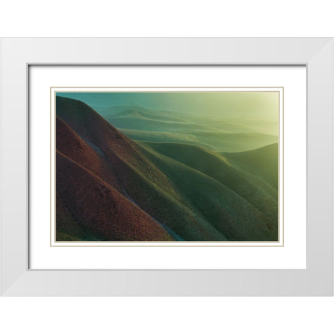 Natural Grassland White Modern Wood Framed Art Print with Double Matting by Simoon