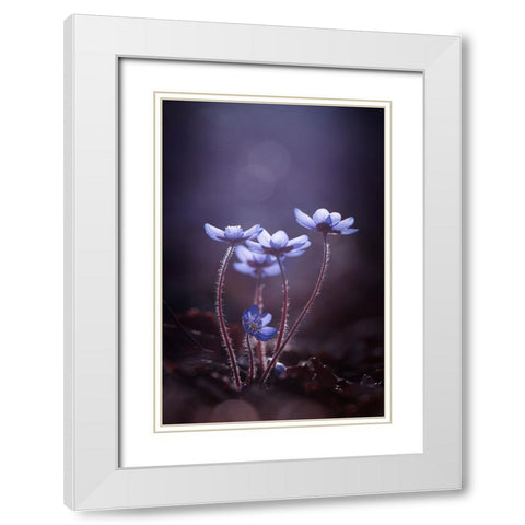 Some Light For Dark Days White Modern Wood Framed Art Print with Double Matting by Dvorak, Petra