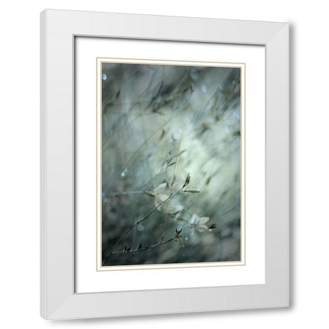 Subtlety White Modern Wood Framed Art Print with Double Matting by Devos, Delphine