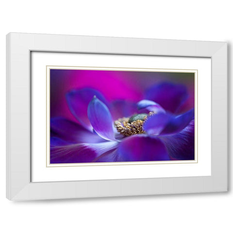 Windflower White Modern Wood Framed Art Print with Double Matting by Parker, Jacky