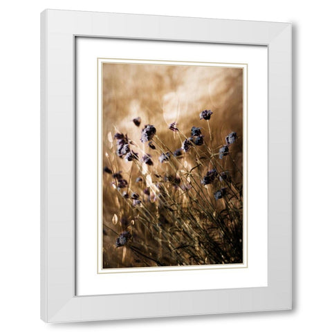To Be Free In Light White Modern Wood Framed Art Print with Double Matting by Devos, Delphine