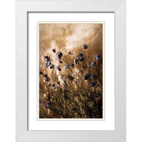 To Be Free In Light White Modern Wood Framed Art Print with Double Matting by Devos, Delphine