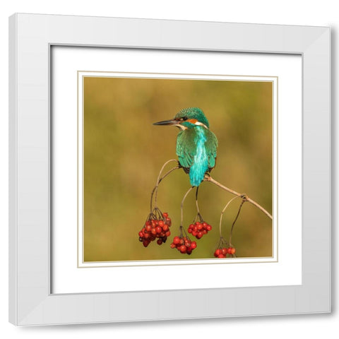 An Unusual Place White Modern Wood Framed Art Print with Double Matting by Keizer, Annie