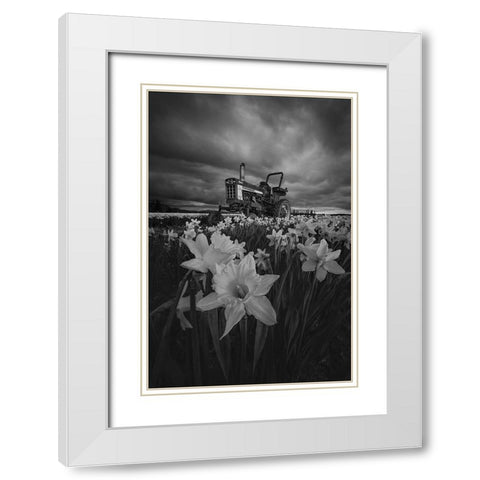 Tractor In Daffodils White Modern Wood Framed Art Print with Double Matting by Jacobs, Lydia