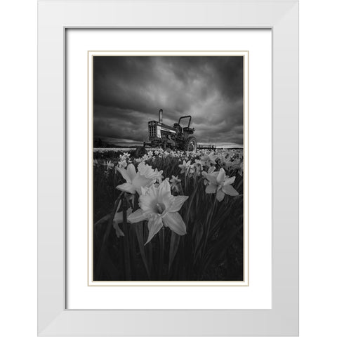 Tractor In Daffodils White Modern Wood Framed Art Print with Double Matting by Jacobs, Lydia
