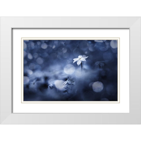 Sparkling Background White Modern Wood Framed Art Print with Double Matting by Suzuki, Takashi