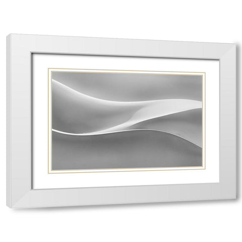 Restless White Modern Wood Framed Art Print with Double Matting by Asghar Alimoradi, Ali