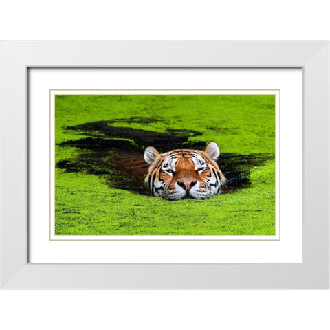 Untitled White Modern Wood Framed Art Print with Double Matting by Keller