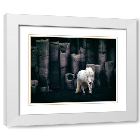 Icelandic Horse White Modern Wood Framed Art Print with Double Matting by Kort, Bragi
