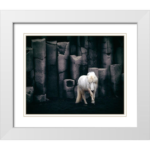 Icelandic Horse White Modern Wood Framed Art Print with Double Matting by Kort, Bragi