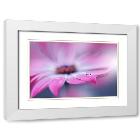 Untitled White Modern Wood Framed Art Print with Double Matting by Nan, Juliana