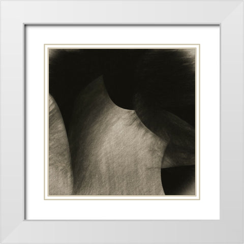 Roccia White Modern Wood Framed Art Print with Double Matting by Claes, Gilbert