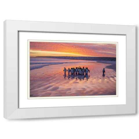 Morning Walk White Modern Wood Framed Art Print with Double Matting by Chang, Cheng