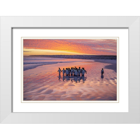 Morning Walk White Modern Wood Framed Art Print with Double Matting by Chang, Cheng