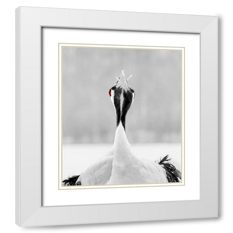 Sing For Morning White Modern Wood Framed Art Print with Double Matting by Fischer, Jie