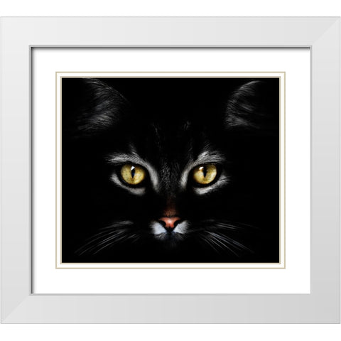 Untitled White Modern Wood Framed Art Print with Double Matting by Grambone, Antonio