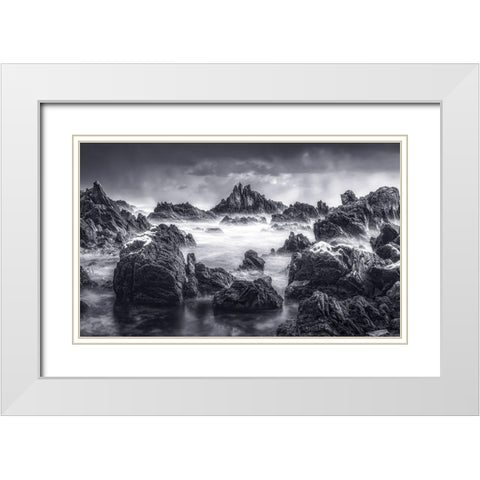 Rock White Modern Wood Framed Art Print with Double Matting by Seo, Tiger