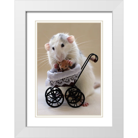 My Teddybear White Modern Wood Framed Art Print with Double Matting by van Deelen, Ellen