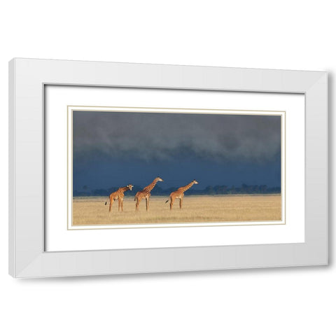 Raining And Sunset White Modern Wood Framed Art Print with Double Matting by Wang, Yun