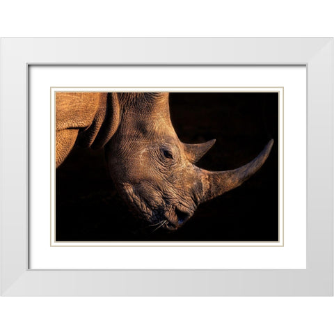 Rhinoceros White Modern Wood Framed Art Print with Double Matting by Fischer, Jie