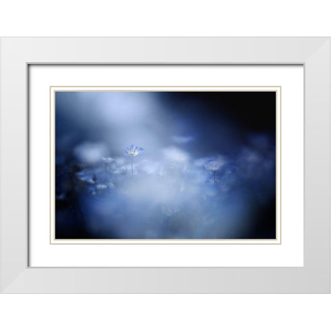 Gentle Light White Modern Wood Framed Art Print with Double Matting by Suzuki, Takashi
