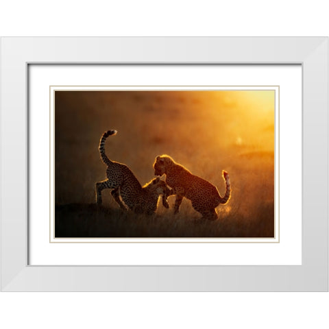 Playing At Sunrise White Modern Wood Framed Art Print with Double Matting by Vigo, Mario